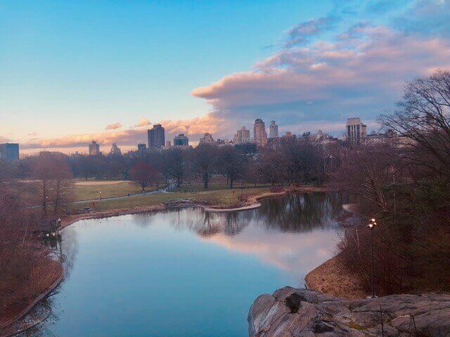 The view from Central Park..